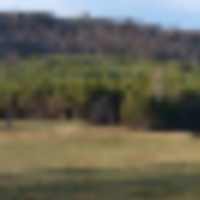 pic_for_bus_page__resize-thumb