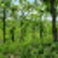 picture_2__resize-thumb