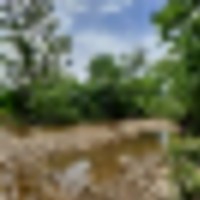 picture_4__resize-thumb