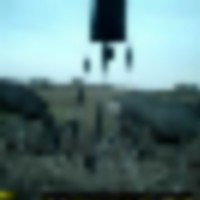playboys_buck5__resize-thumb