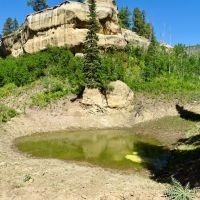 Pond Rock Elk and Cattle Ranch