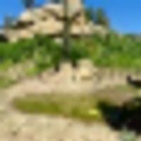 Pond Rock Elk and Cattle Ranch