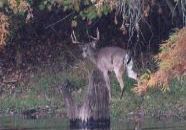 Old Church Hunting Club