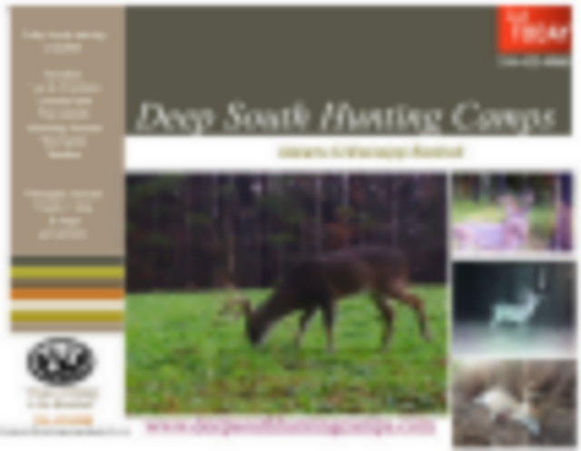 Deep South Hunting Camps featured image