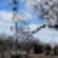 received_1234058753961461__resize-thumb