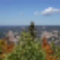 Recreational Mountain Land For Sale in Cripple Creek  CO images 2