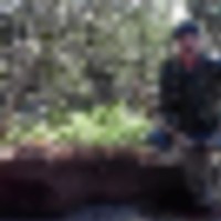 red_stag__resize-thumb