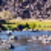 Rio Grande del Norte Ranch images 3