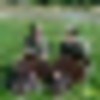 Turkey, Quail and Deer on the Ohio River