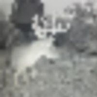 ry1__resize-thumb