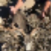 s__resize-thumb