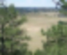 1,230 acres Bighorn WMA turkey hunting land in Dawes County, NE