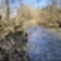 sarah_creek___resize-thumb