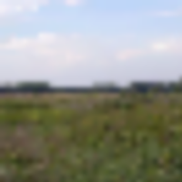 Leola Marsh Wildlife Area 1,860 Acre of Duck Hunting land in Waushara, WI images 3