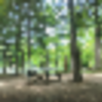 169 Acres Brunet Island State Park for Hunting Fish in Madison, WI images 2