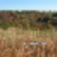 Woodbury Wildlife Area 19000 Acres of Deer Hunting in Coshocton, OH images 4