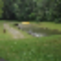 838 Acres Findley State Park for Duck Hunting in Lorain, OH images 3
