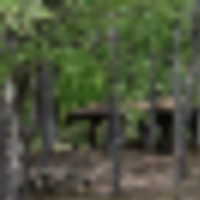 100 Acres Paul M. Grist State Park for Squirrel hunting in Dallas, AL images 6