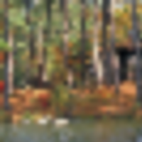 9,049 Acres F.D. Roosevelt State Park for Duck Hunting in Harris, AL images 3