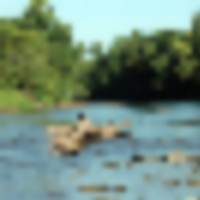 57 Acres Elrod Mill Access Rabbit and Squirrel Hunting in Andrew, MO images 4