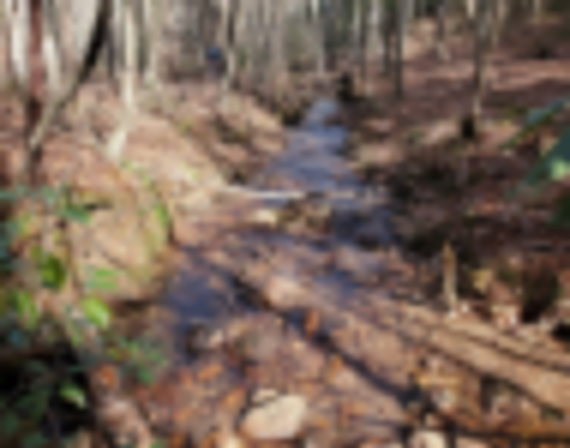 Beautiful Hunting Lot with Stream images 2