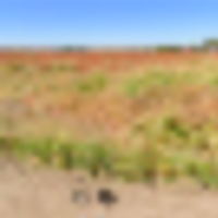 screen_shot_2023-04-28_at_2.03.41_pm__resize-thumb