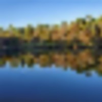 screenshot_20210415-103617_gallery__resize-thumb