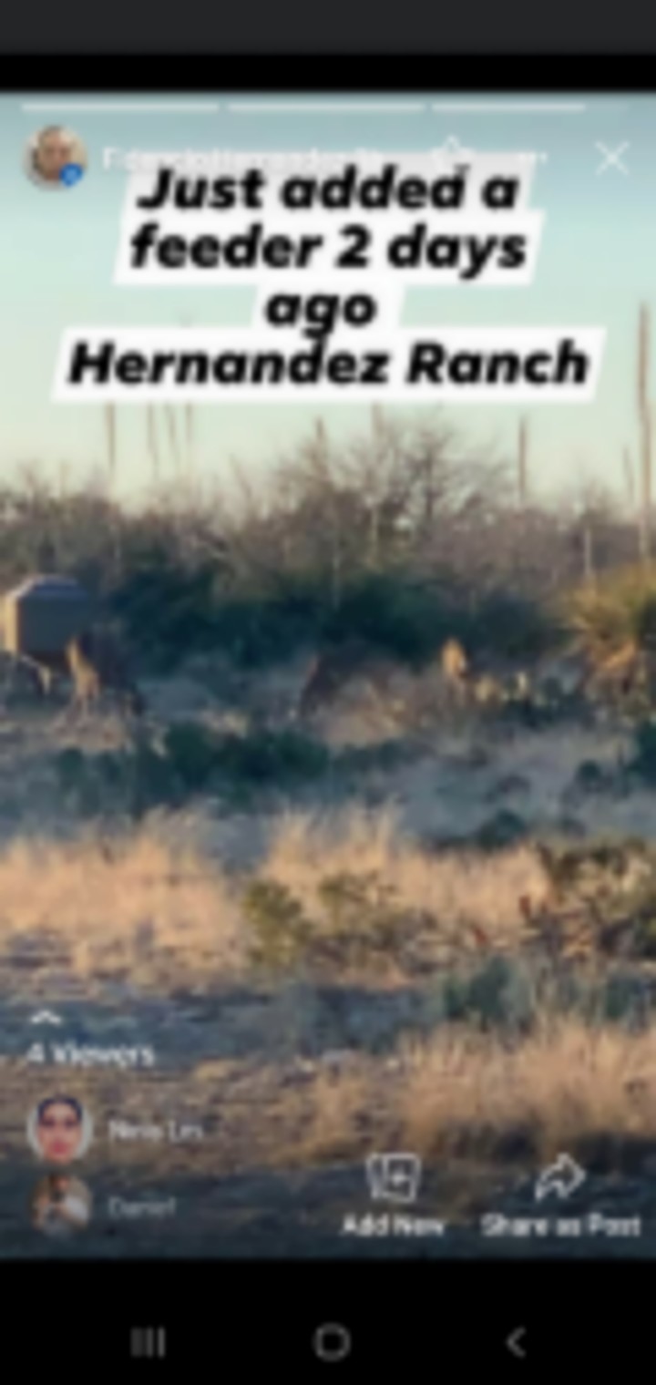 Hernandez Ranch images 5