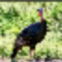 screenshot_20211119-162718_airbnb_2__resize-thumb