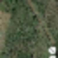 screenshot_20211207-175337_earth__resize-thumb