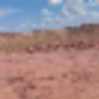 screenshot_2023-11-10_185704__resize-thumb