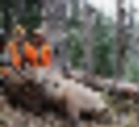Stiffel Creek Trailhead 12,000 acre elk & deer hunting land in Silt, CO images 3