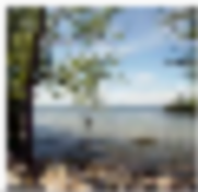 Clinton State Park 300 acres Waterfowl Hunting Land in Douglas, KS images 3