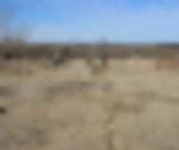 6,400 acres Prairie Dog State Park Deer Hunting Land in Norton, KS images 6