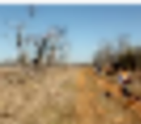 Cross Timbers State Park 4,600-acres Deer Hunting Land in Woodson, KS images 6