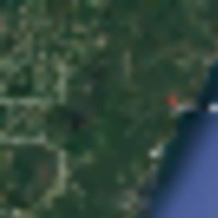 Beautiful hunting property near Cedar River, forested 37 ac