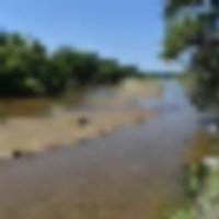 South Platte Waterfowl and Wildlife images 1