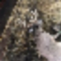 stbucks__resize-thumb