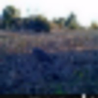 stc_0312__resize-thumb