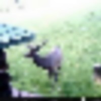 stc_1768__resize-thumb