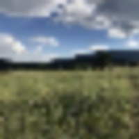 Strawberry Ridge Ranch images 4