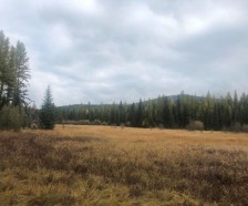 Sustainable Hunting   Recreational Ranch For Sale in Lincoln County  MT
