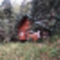 Tiny Cabin Borders NF images 1