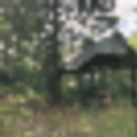 Tiny Cabin Borders NF images 4