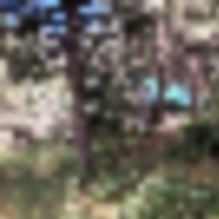 Tiny Cabin Borders NF images 5