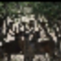 tl_kerrville_bunch_bucks_pic__resize-thumb