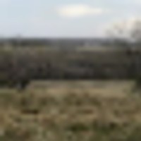 tx_1__resize-thumb