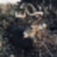 tx_spur_5__resize-thumb