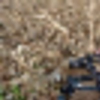 van_buren_listing_9__resize-thumb