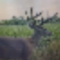 vanburen_lisitng_15__resize-thumb
